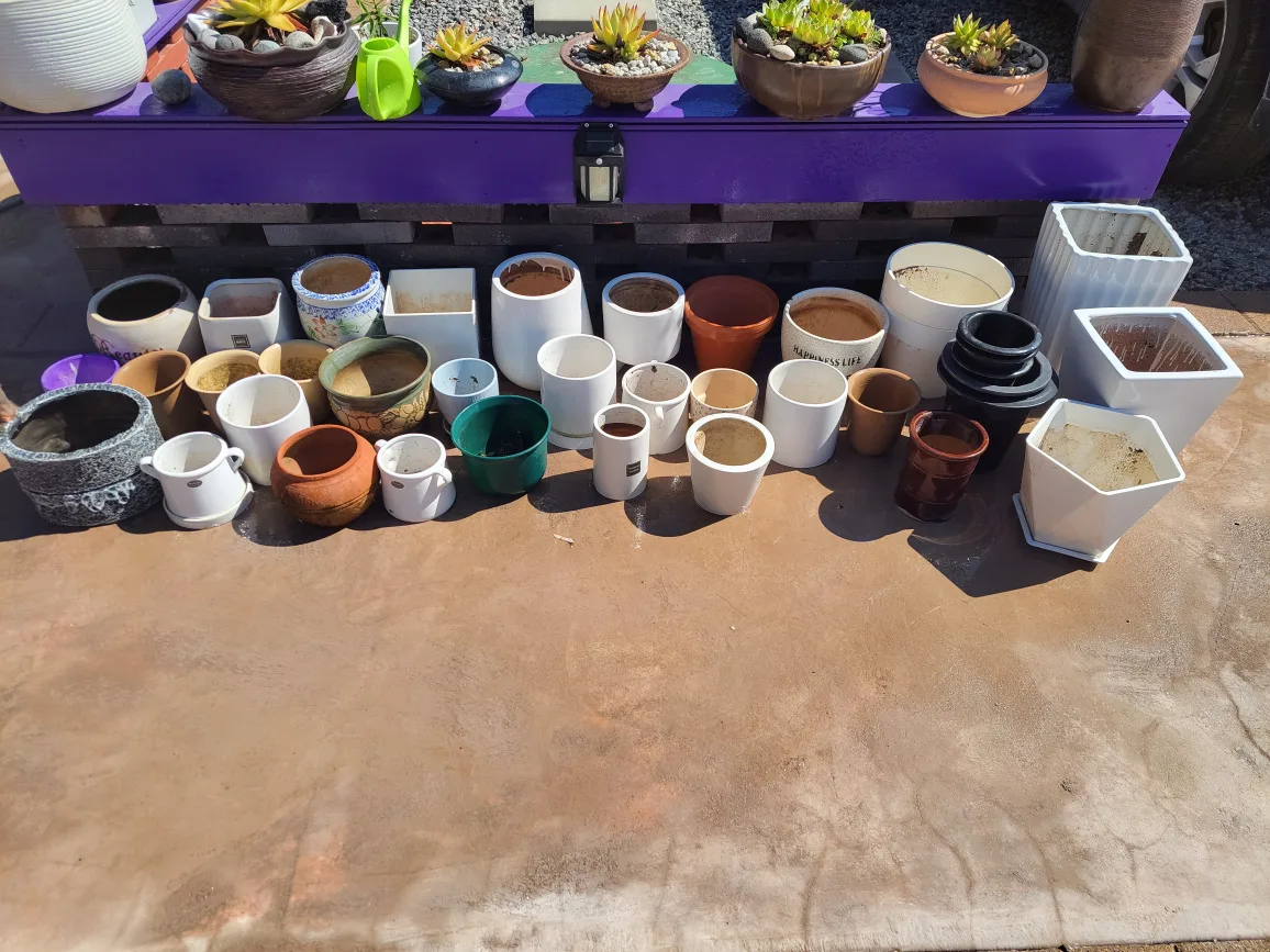 다양한 종류 중고 화분 모음