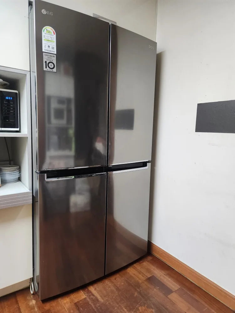 LG DIOS 냉장고 868L
