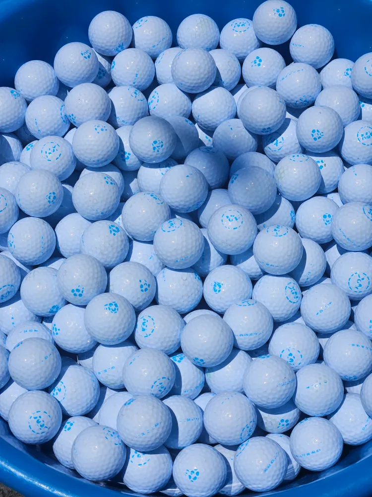 골프존 중고 골프공 팝니다