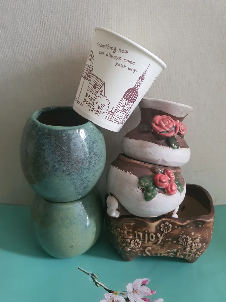 중고 다육이 화분 5개 세트