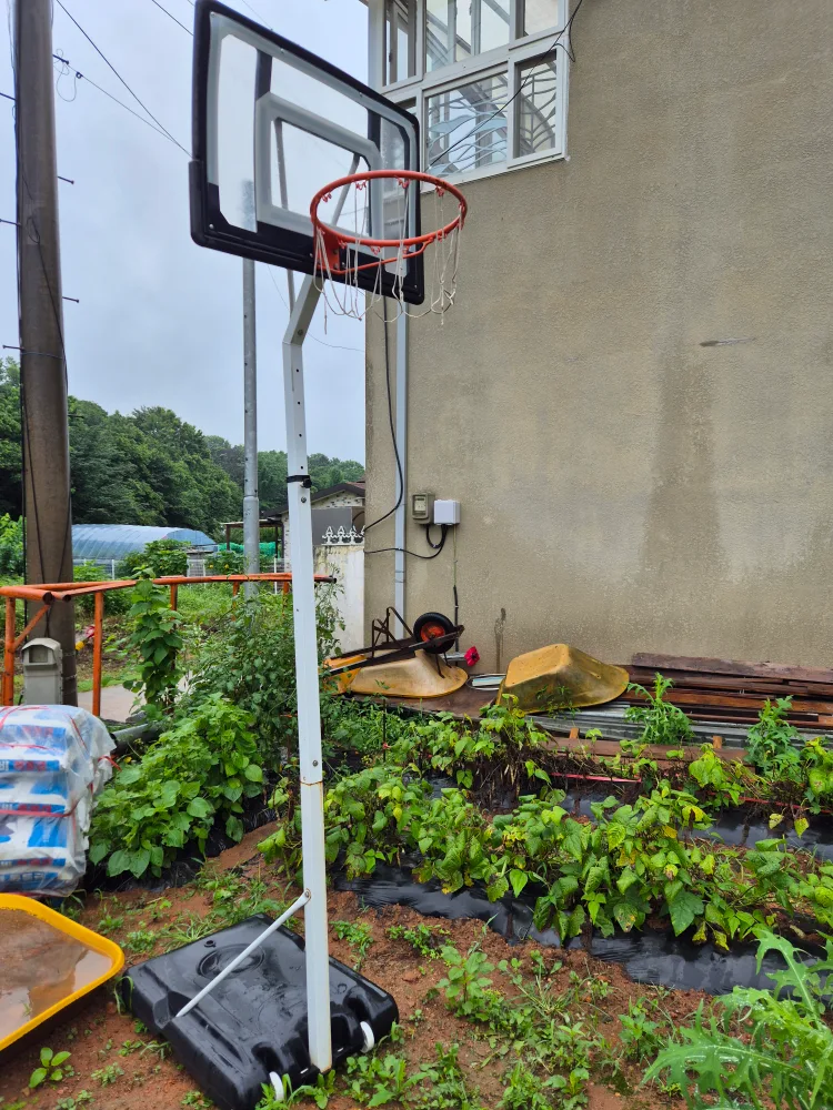 중고 농구대 나눔