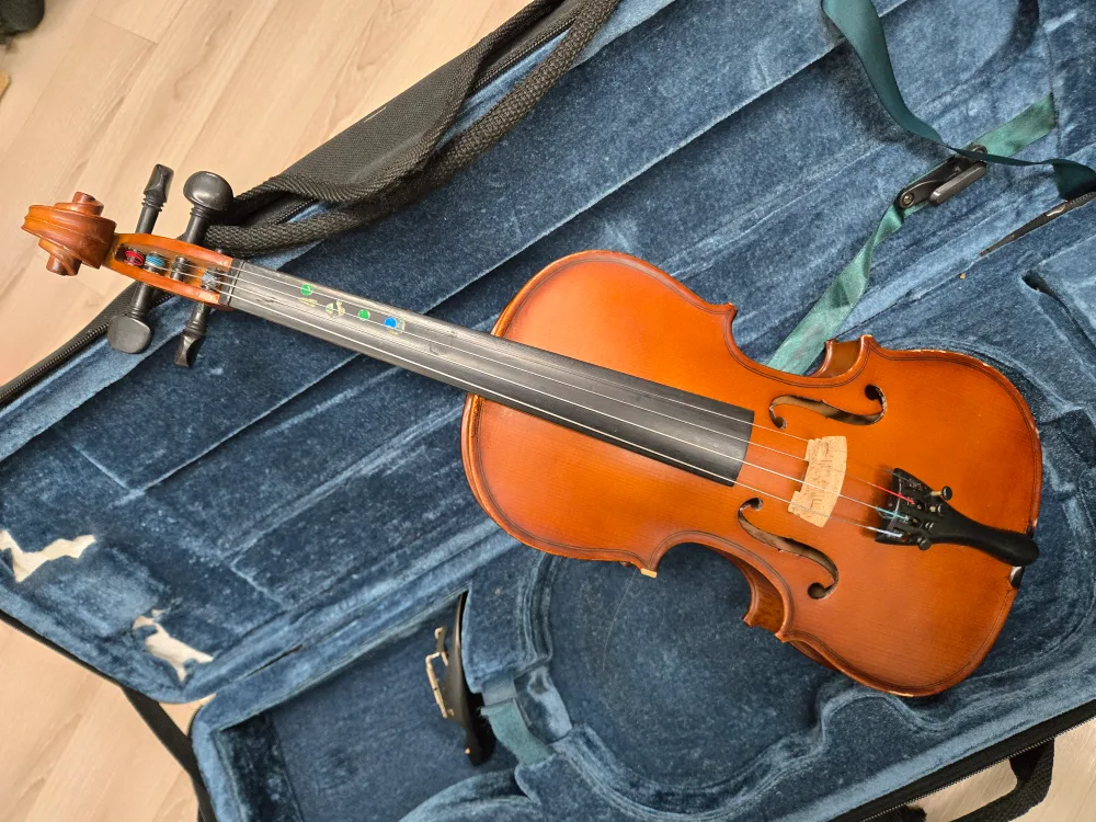 중고 바이올린