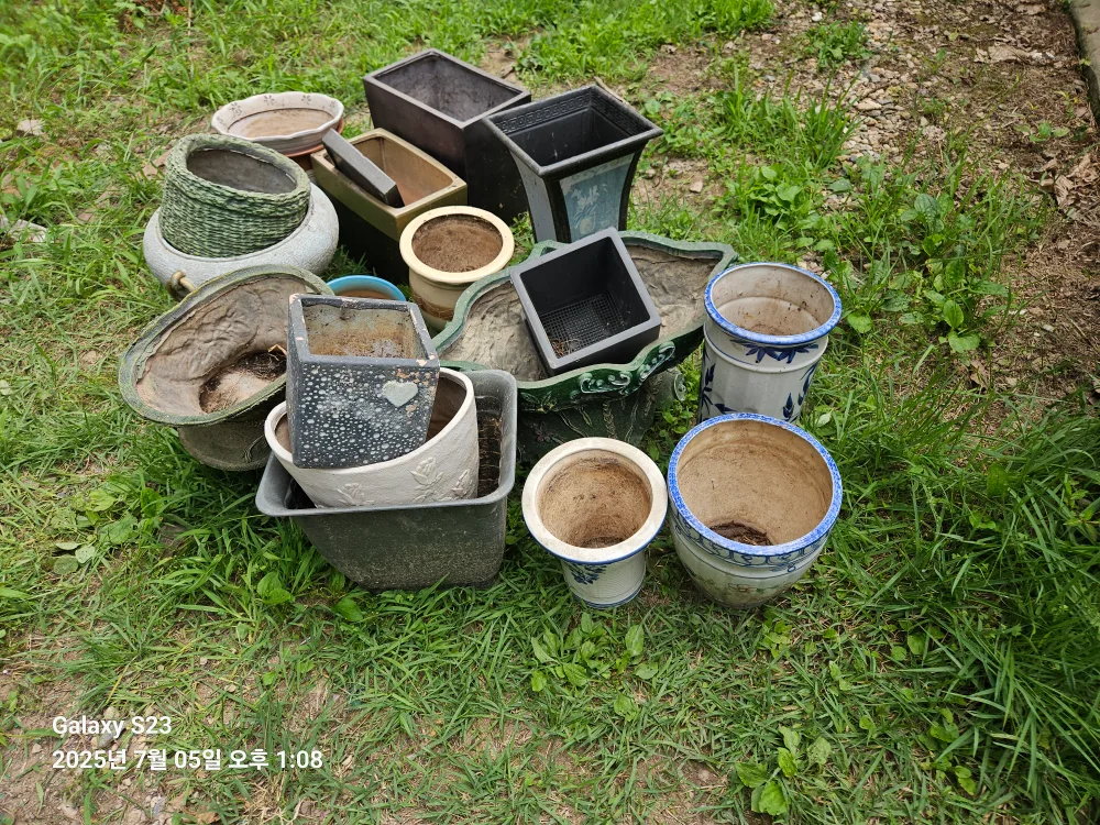 중고 화분 일괄 나눔