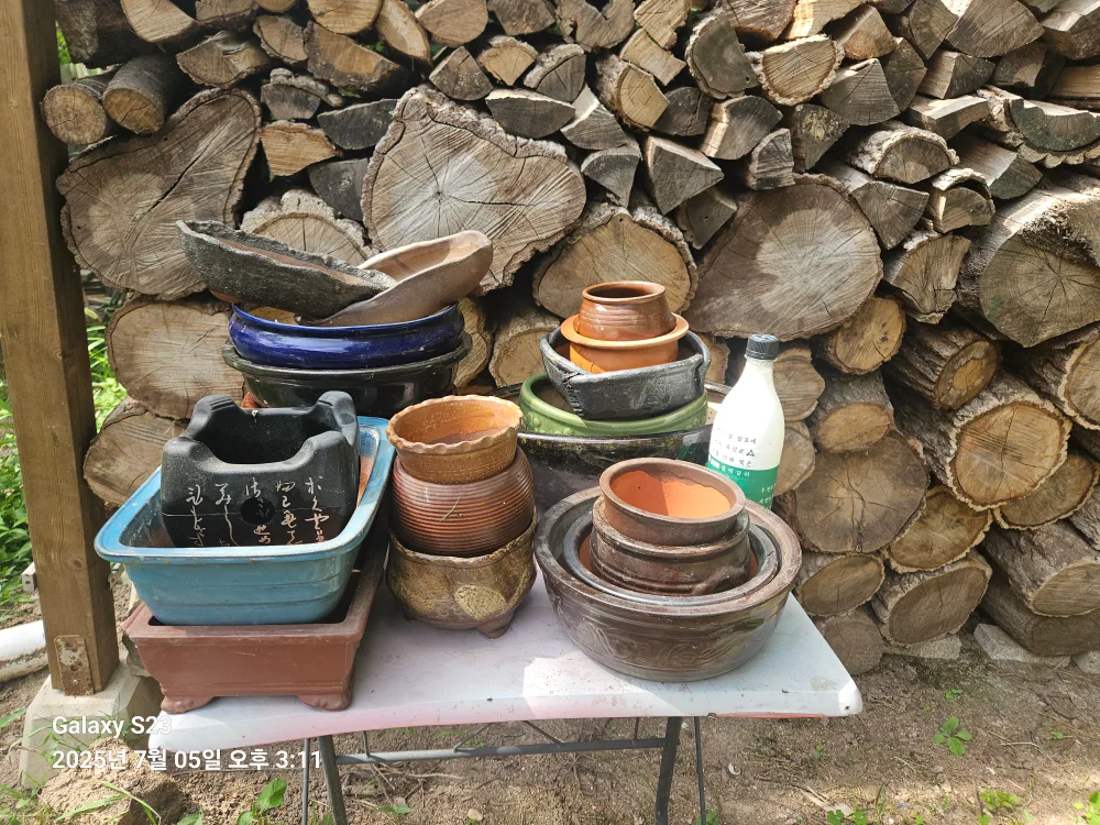 중고 옹기화분 모음