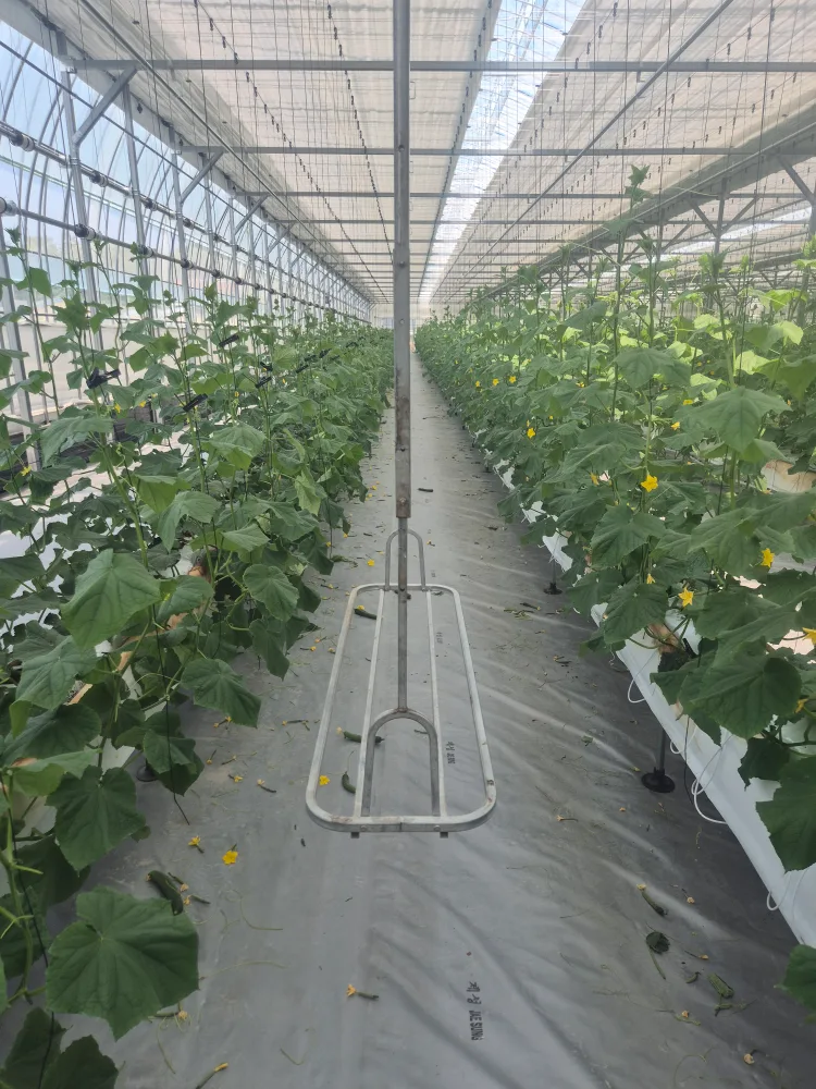 중고 작물 운반구 삽니다