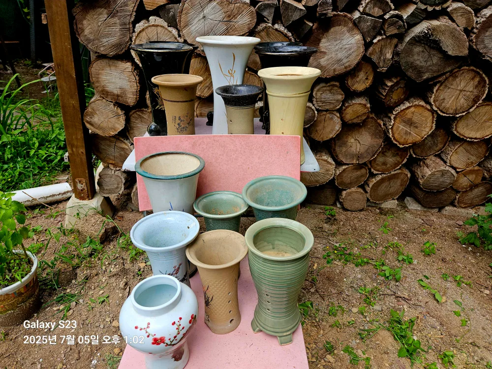 중고 난화분 모음🪴