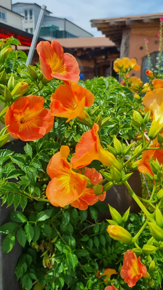 LG드럼세탁기중고