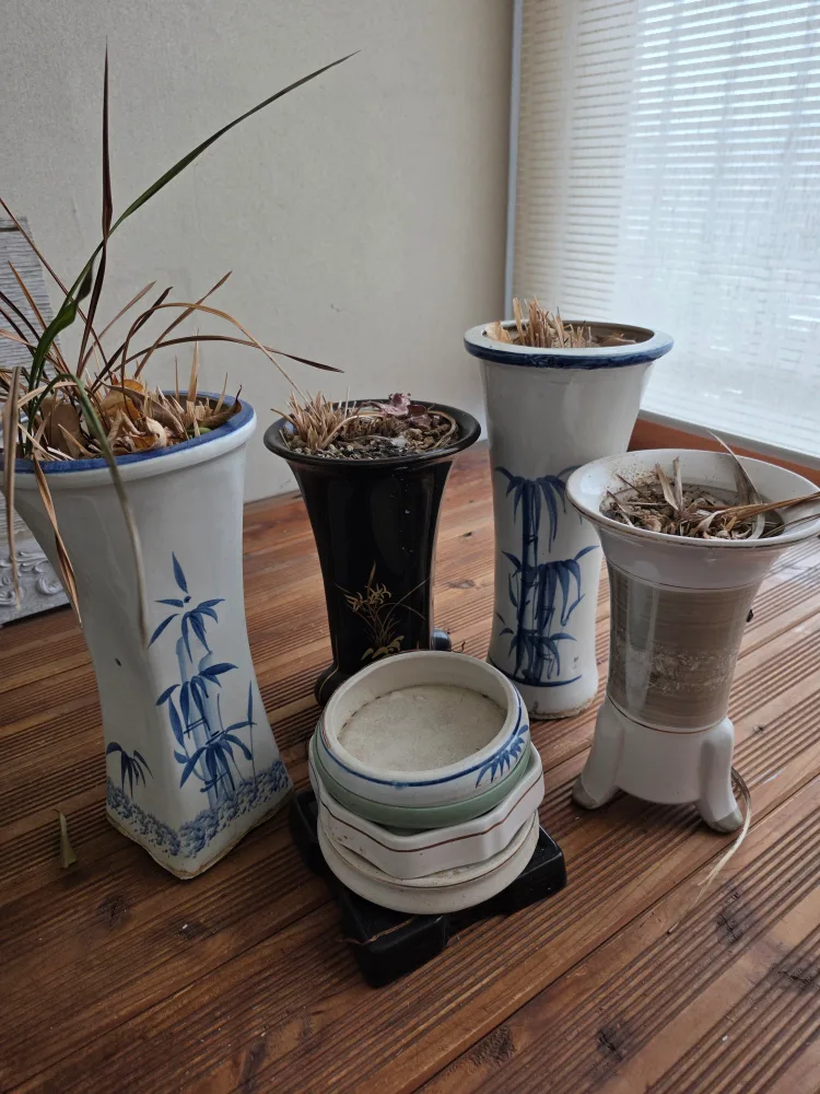 중고 화분 모음