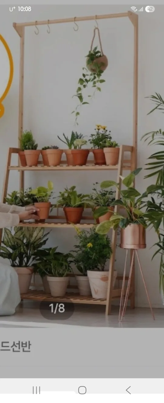 원목 식물 선반
