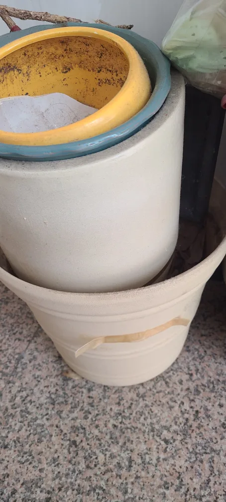 중고 화분 모음