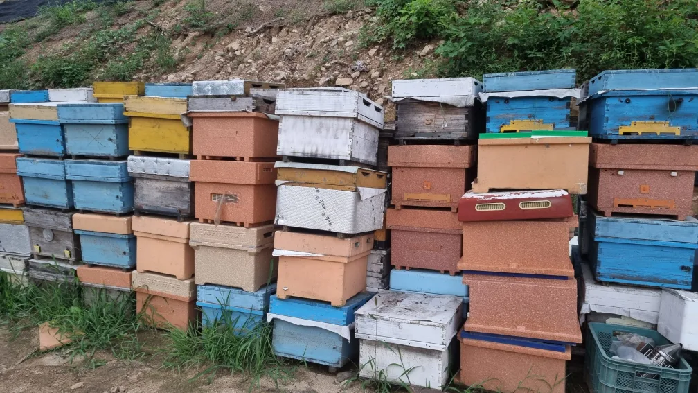 양봉 벌통 판매합니다