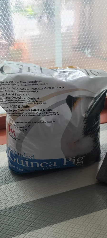 기니피그 물품 나눔합니다(베딩, 사료 등)