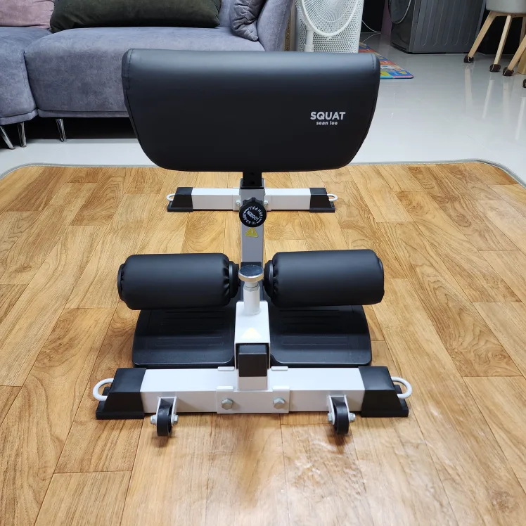 숀리 스쿼드 판매(깨끗한 중고)