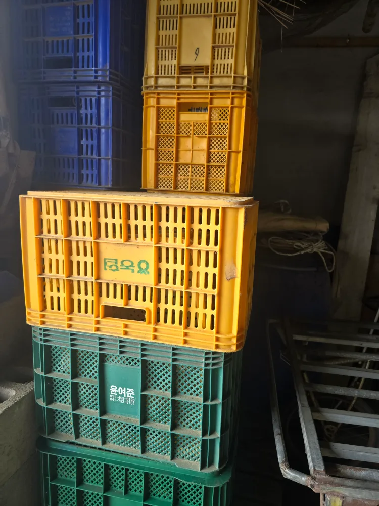 중고 플라스틱 상자 개당 1000원