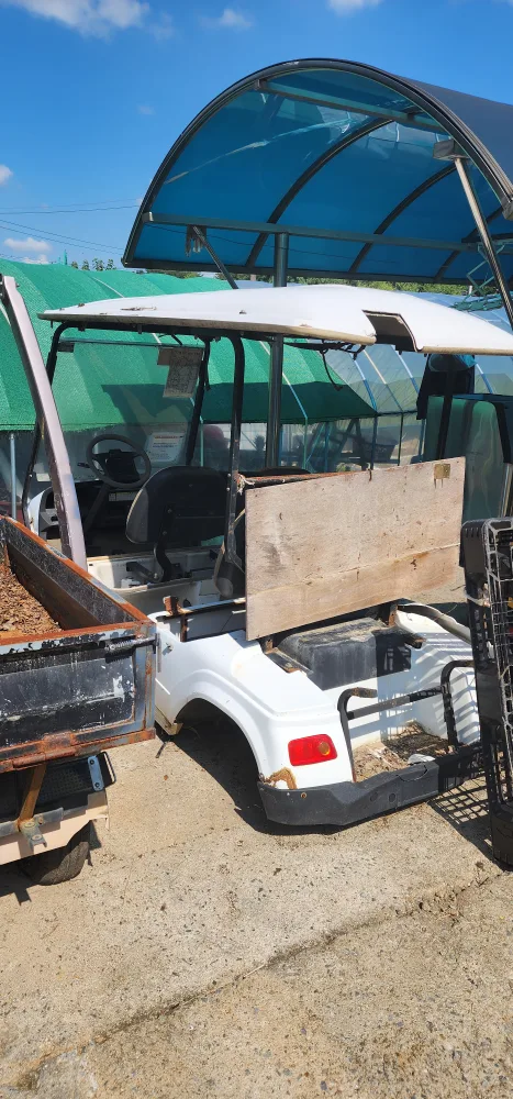 중고 골프 카트