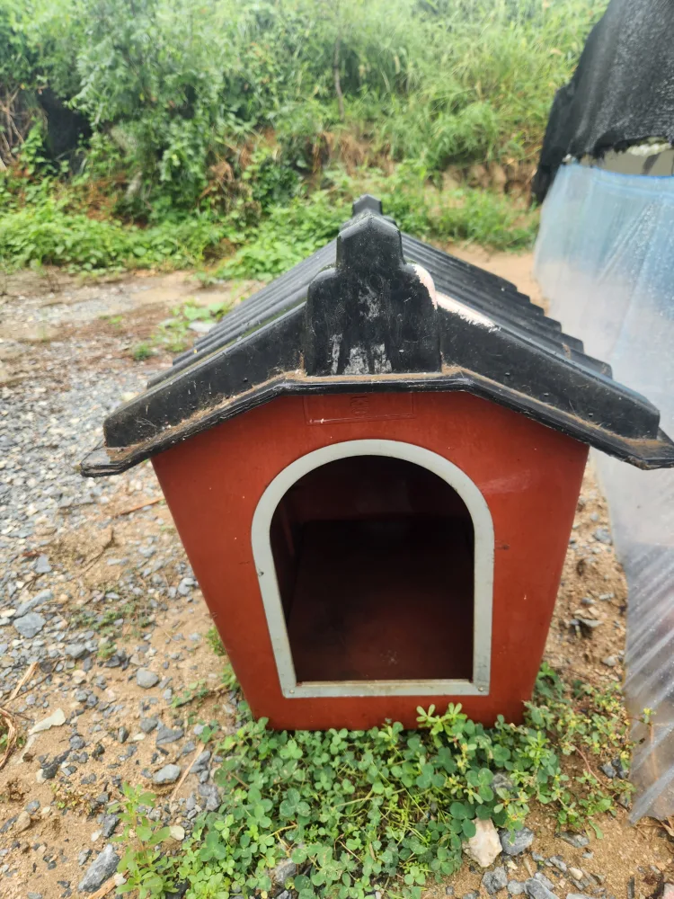 강아지 집 (중고)