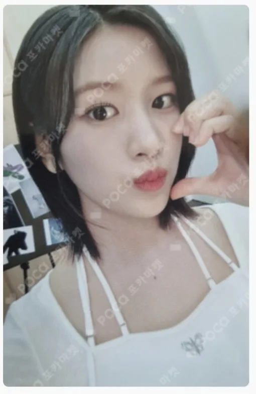 안녕즈 포카 팔아요