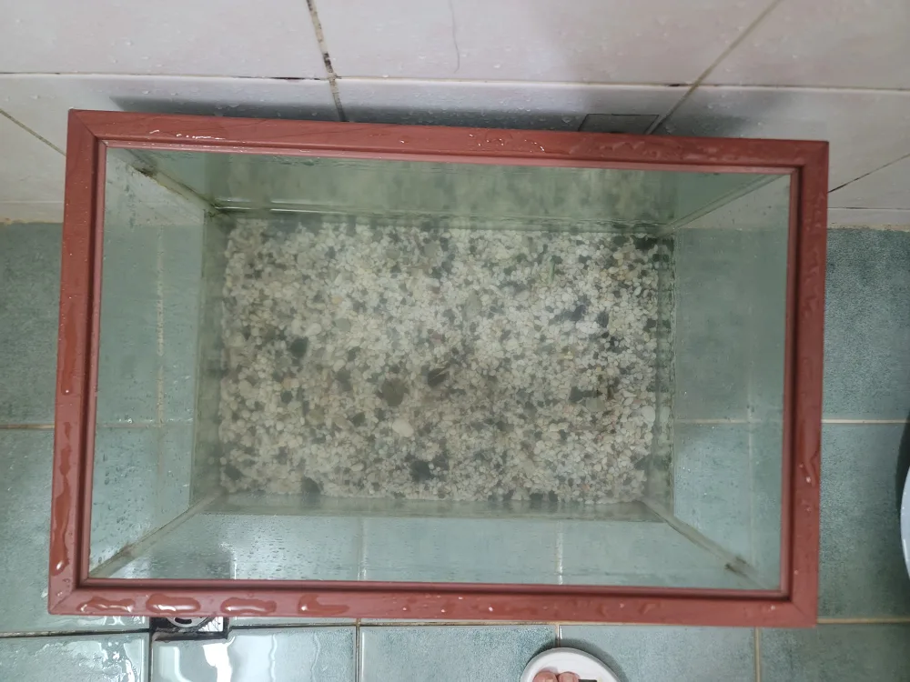 어항 (중고)및 구피