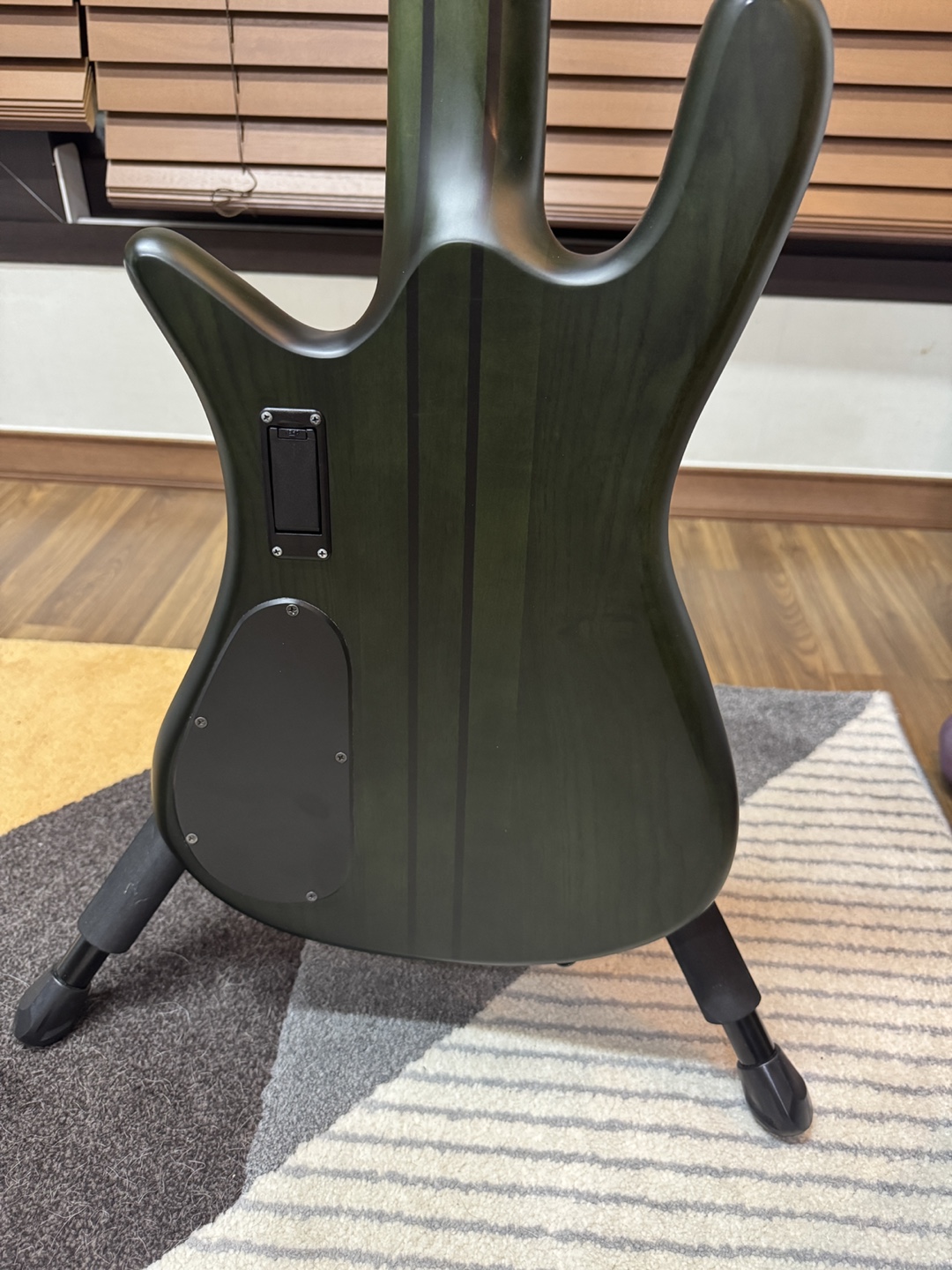 스펙터 NS 디멘션 5현 멀티스케일 베이스