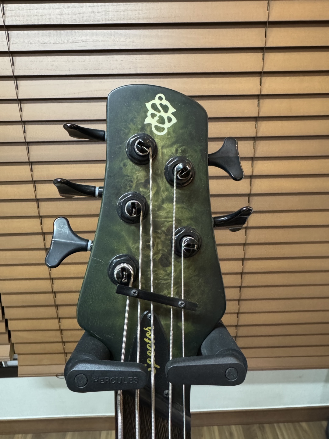 스펙터 NS 디멘션 5현 멀티스케일 베이스