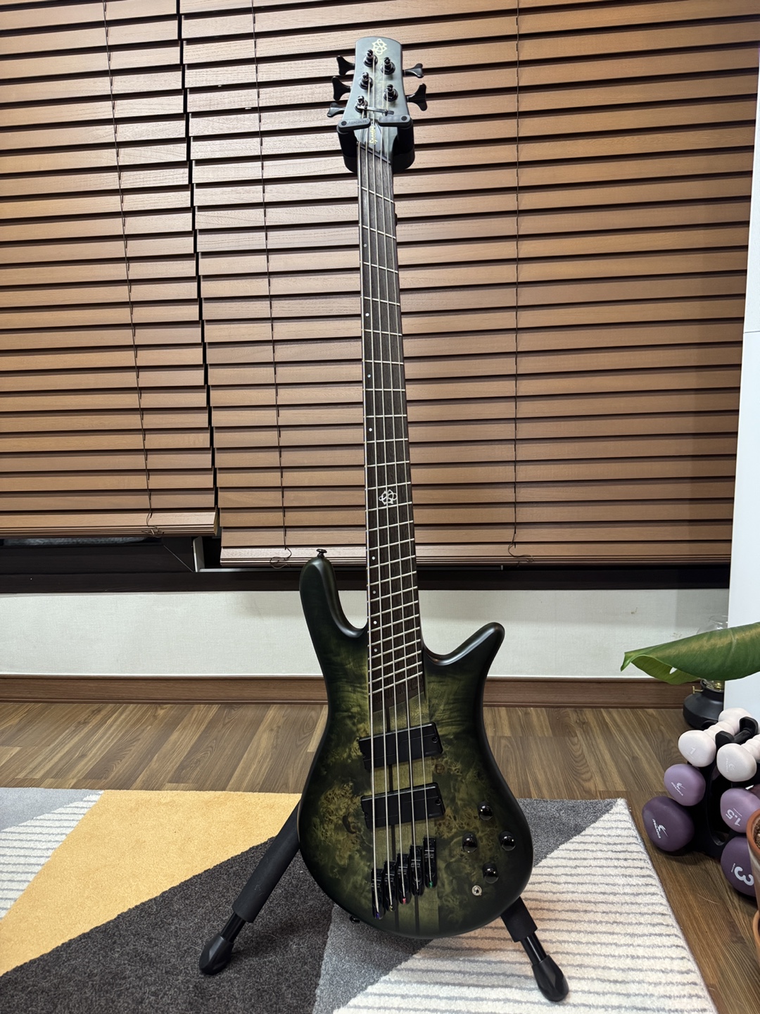 스펙터 NS 디멘션 5현 멀티스케일 베이스