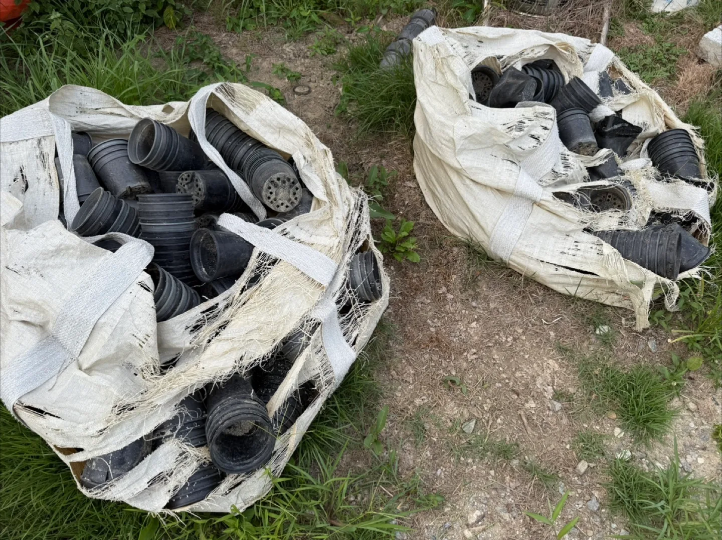 중고 플라스틱 화분 일괄