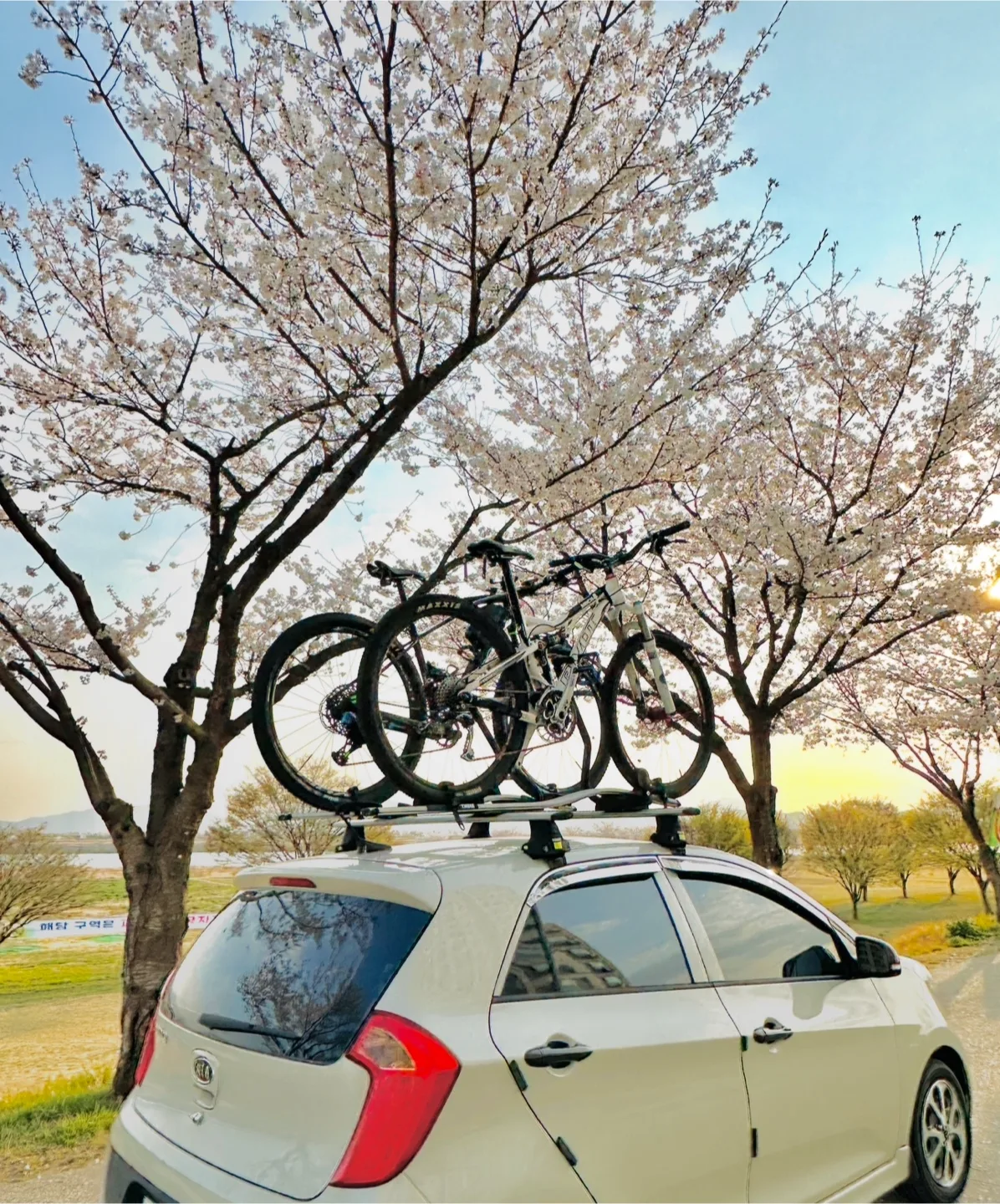 툴레 591 자전거 캐리어 2개 및 가로바 셋트 판매합니다.