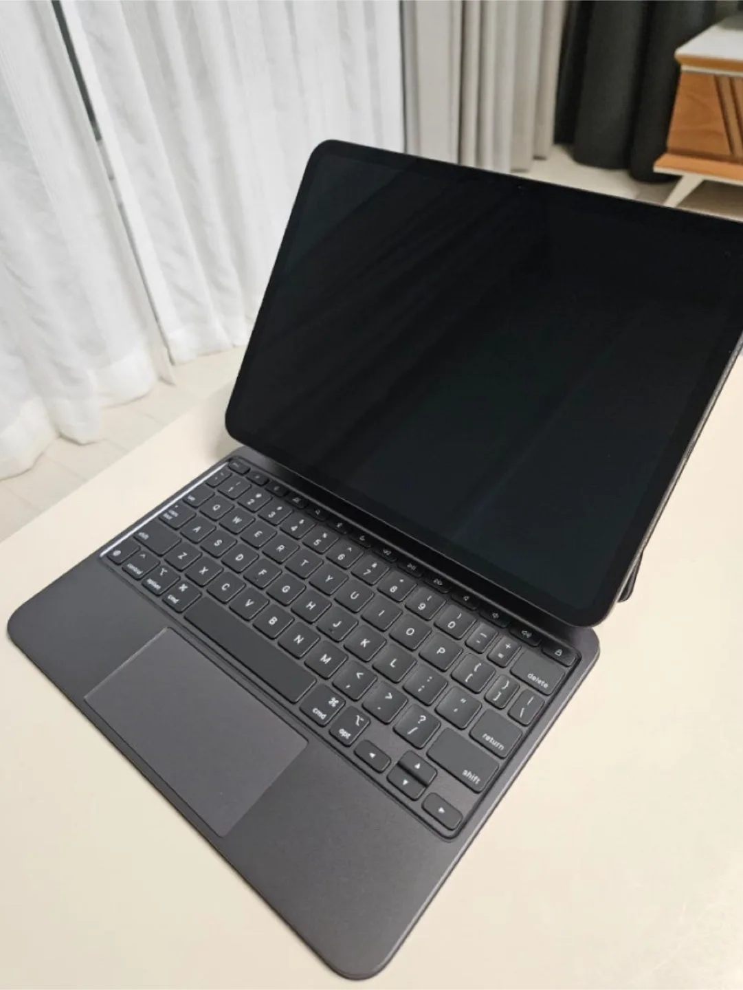 아이패드 프로, M4, 11, 셀룰러, 1TB