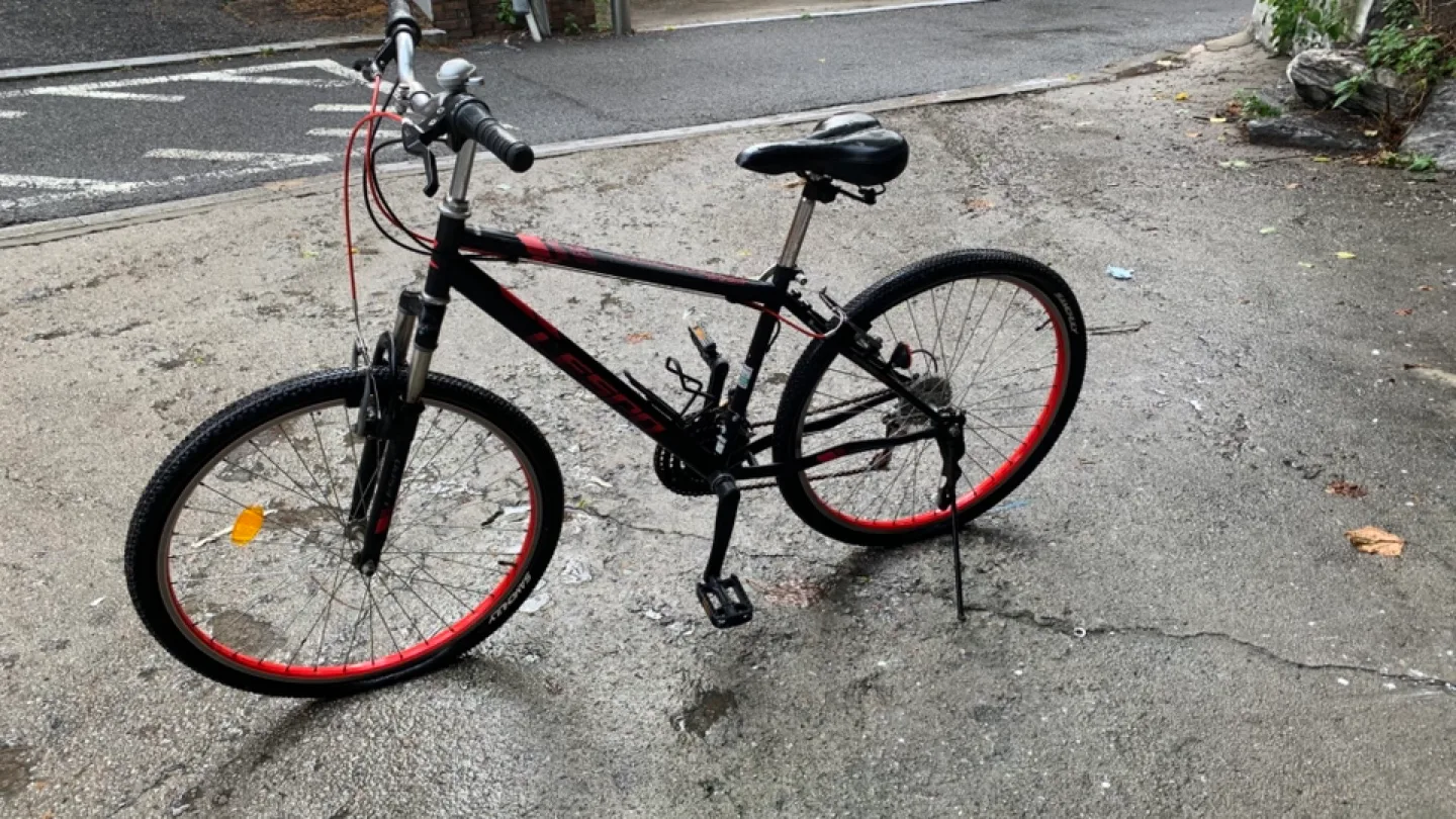 당근마켓 중고상품