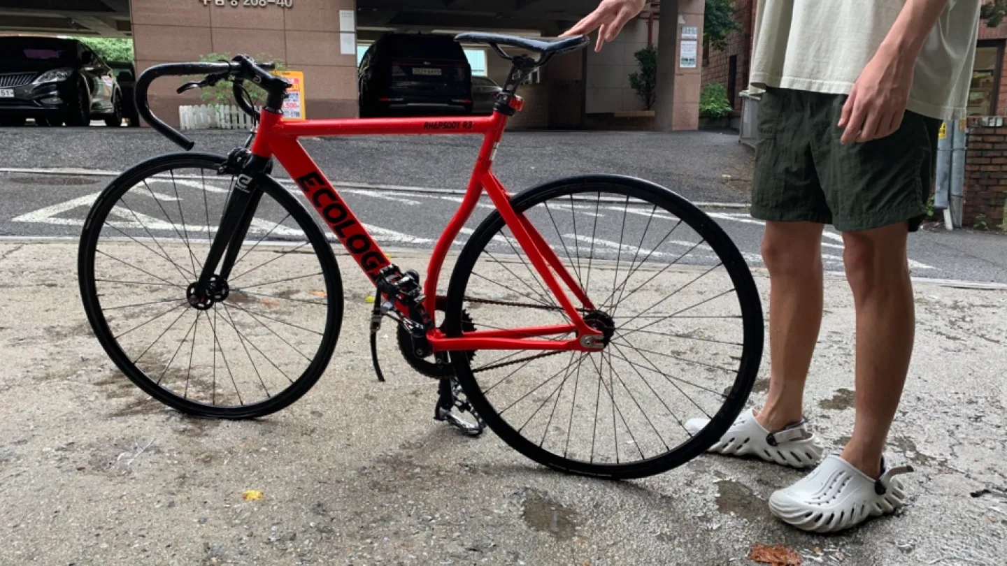 Ecologix 픽시 자전거