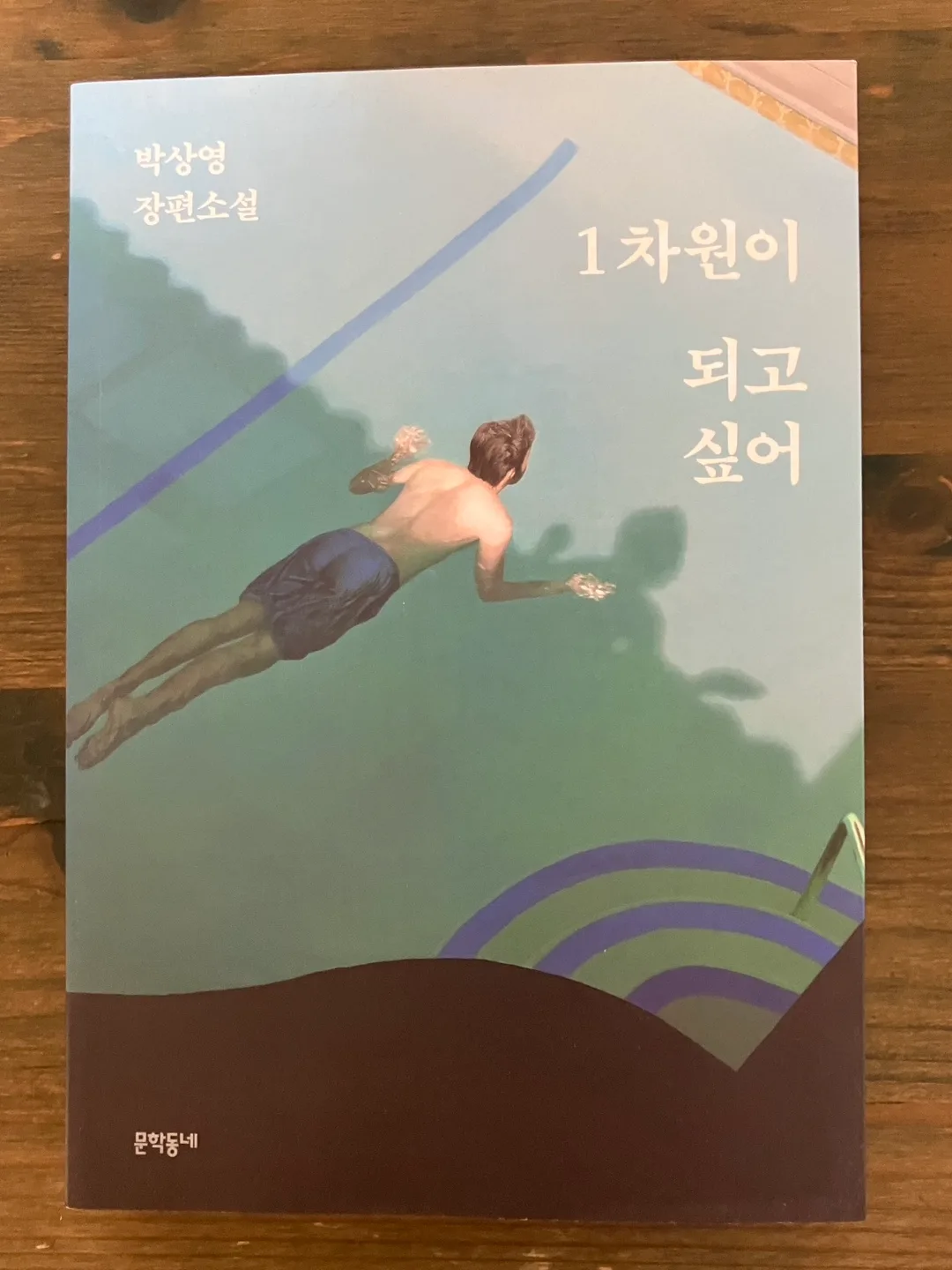 1차원이 되고 싶어 박상영 중고책