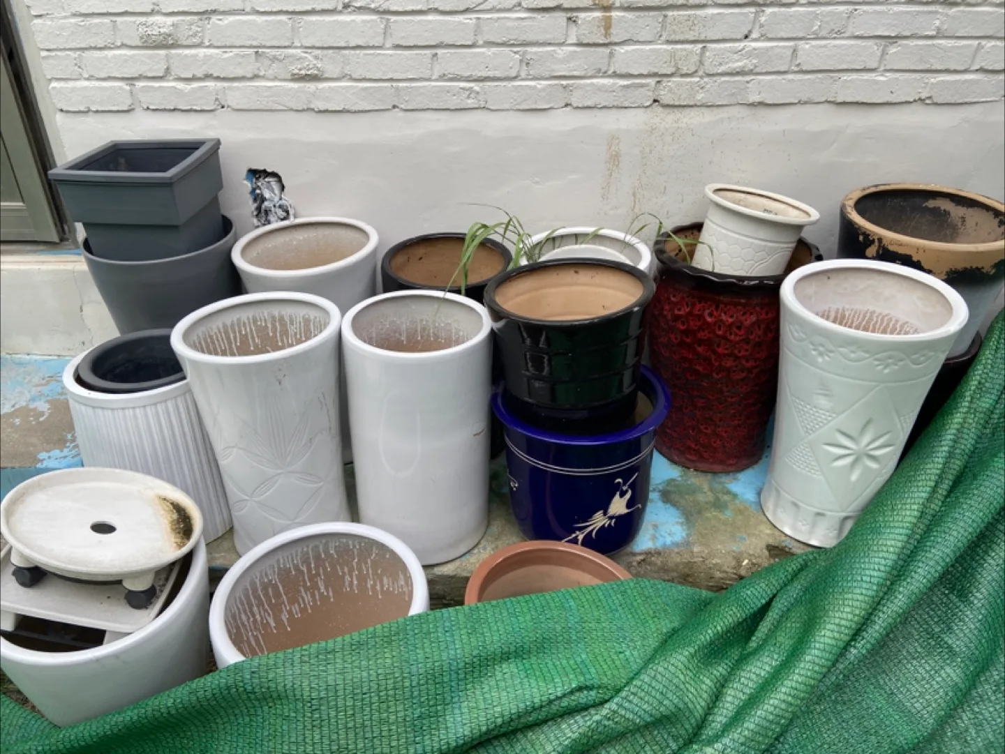 다양한 화분 모음 나눔합니다