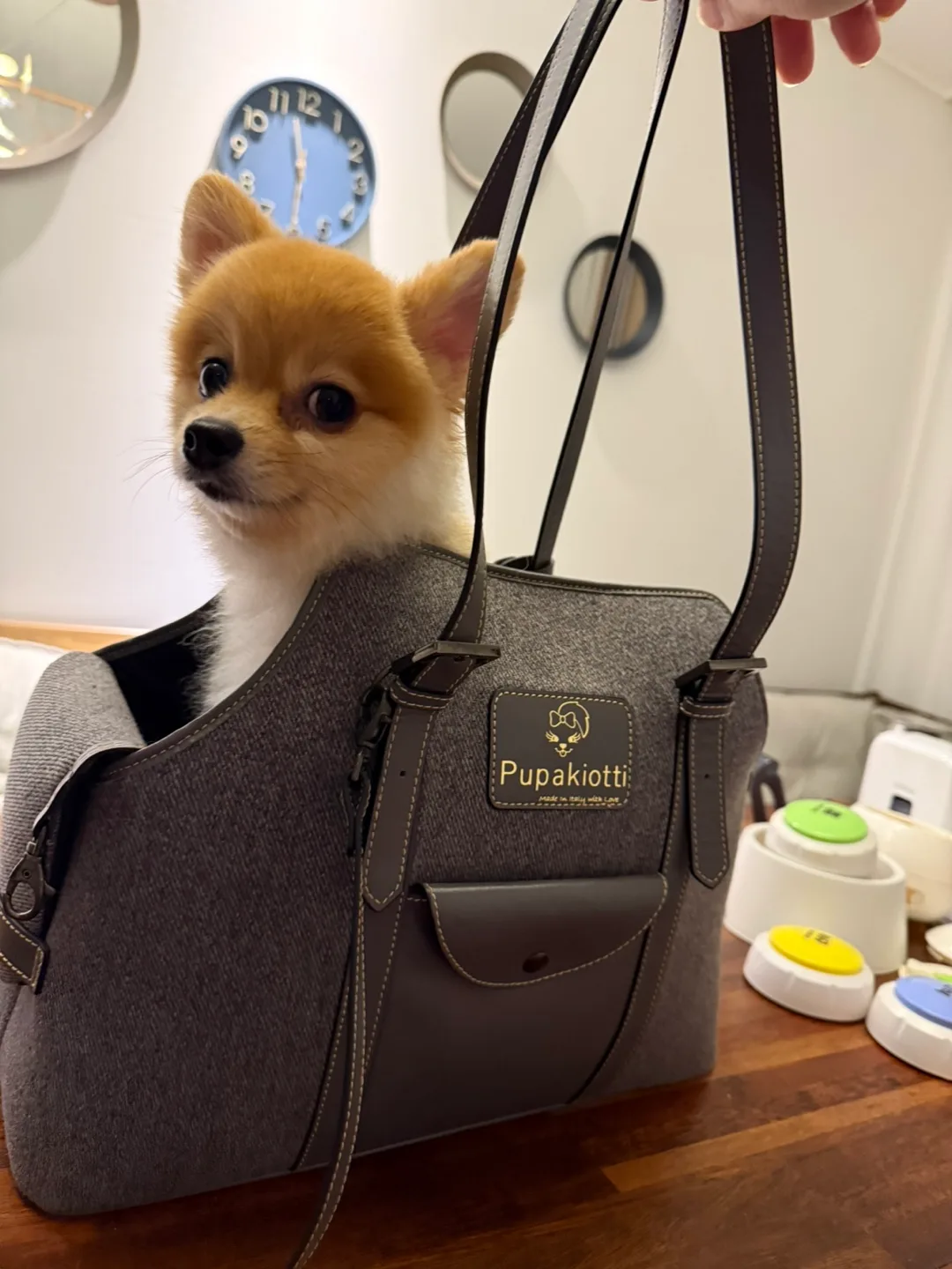 Pupakiotti 강아지 캐리어 가방