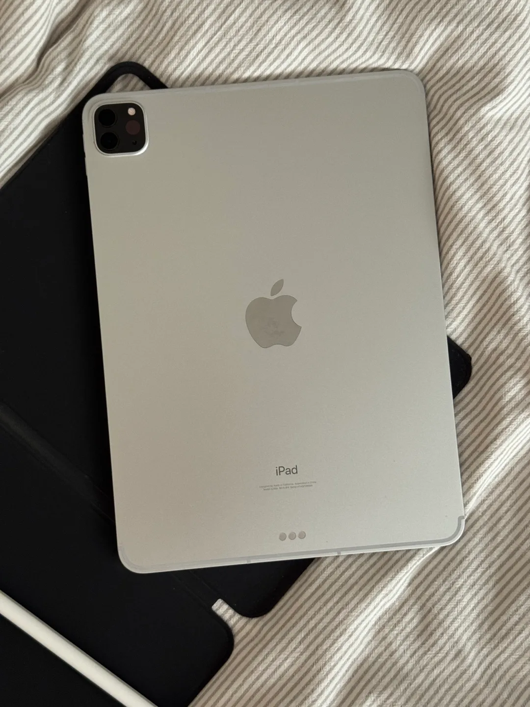 아이패드 프로 11형 (3세대) 256GB