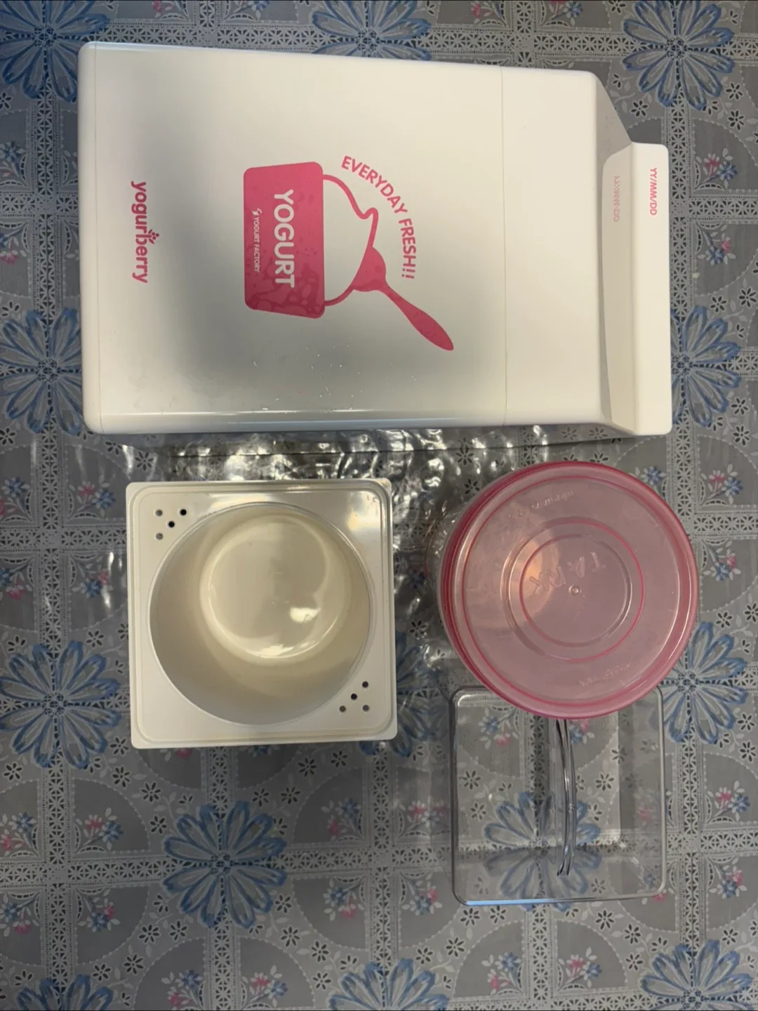 요거베리 요거트 메이커(화이트)