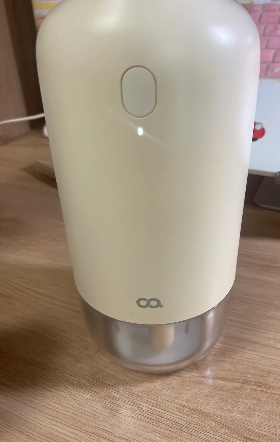 오아 듀얼 미스트 가습기