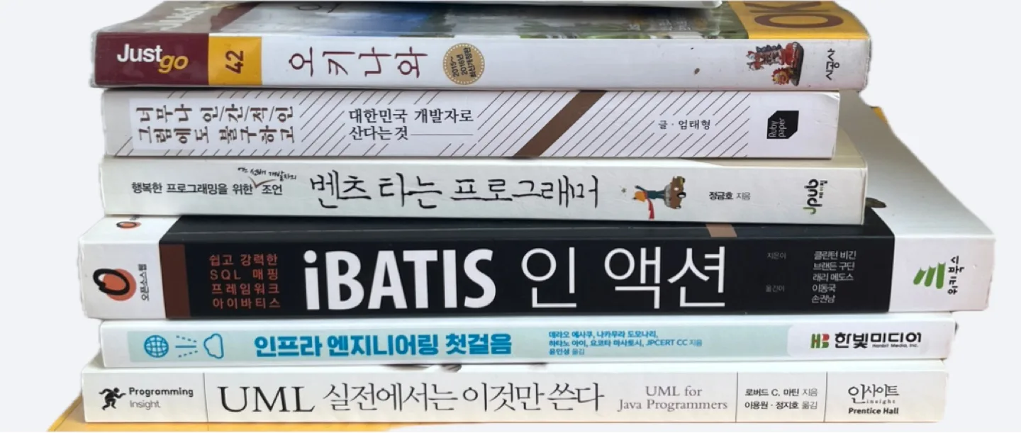 중고책/ ibatis인액션,프로그래머,개발자,엔지니어링,오키나와,it개발관련책