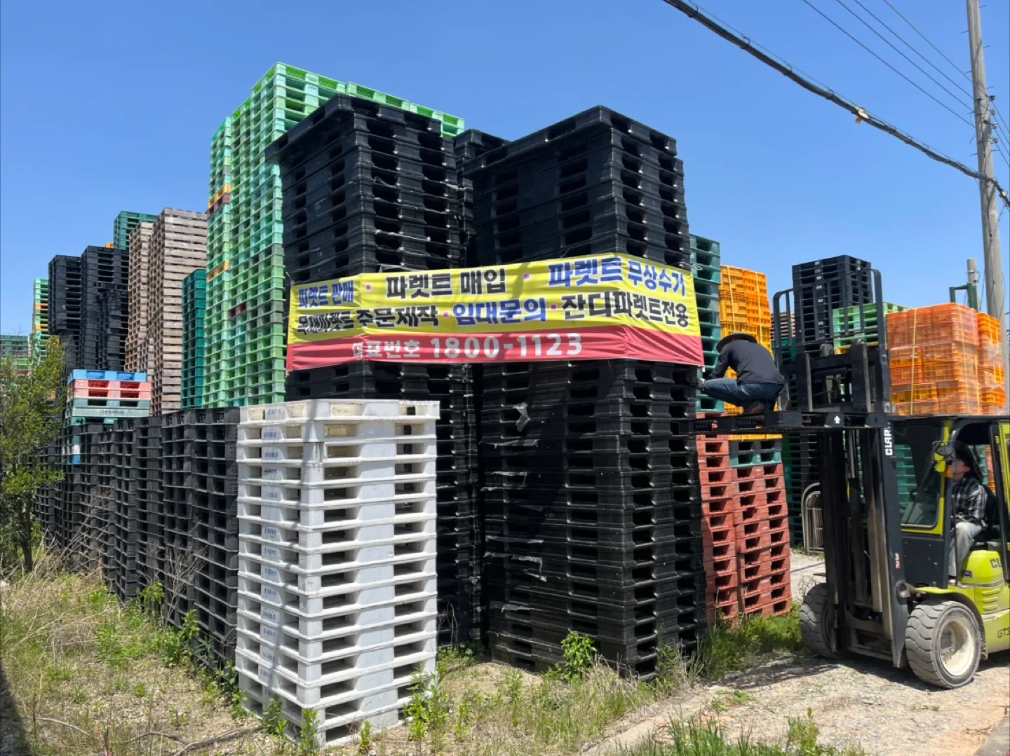 중고 플라스틱/목재 파렛트 판매합니다