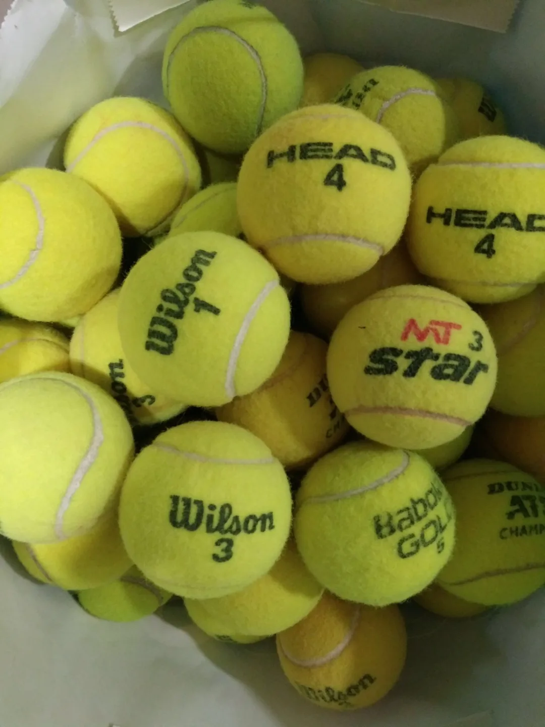 테니스공 시합구 사용했던 중고 서브연습용 등 (구매자님 위치 거래 가능)