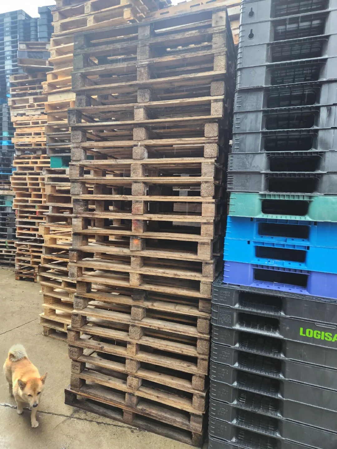 목재 중고 파렛트 1200/800 판매합니다