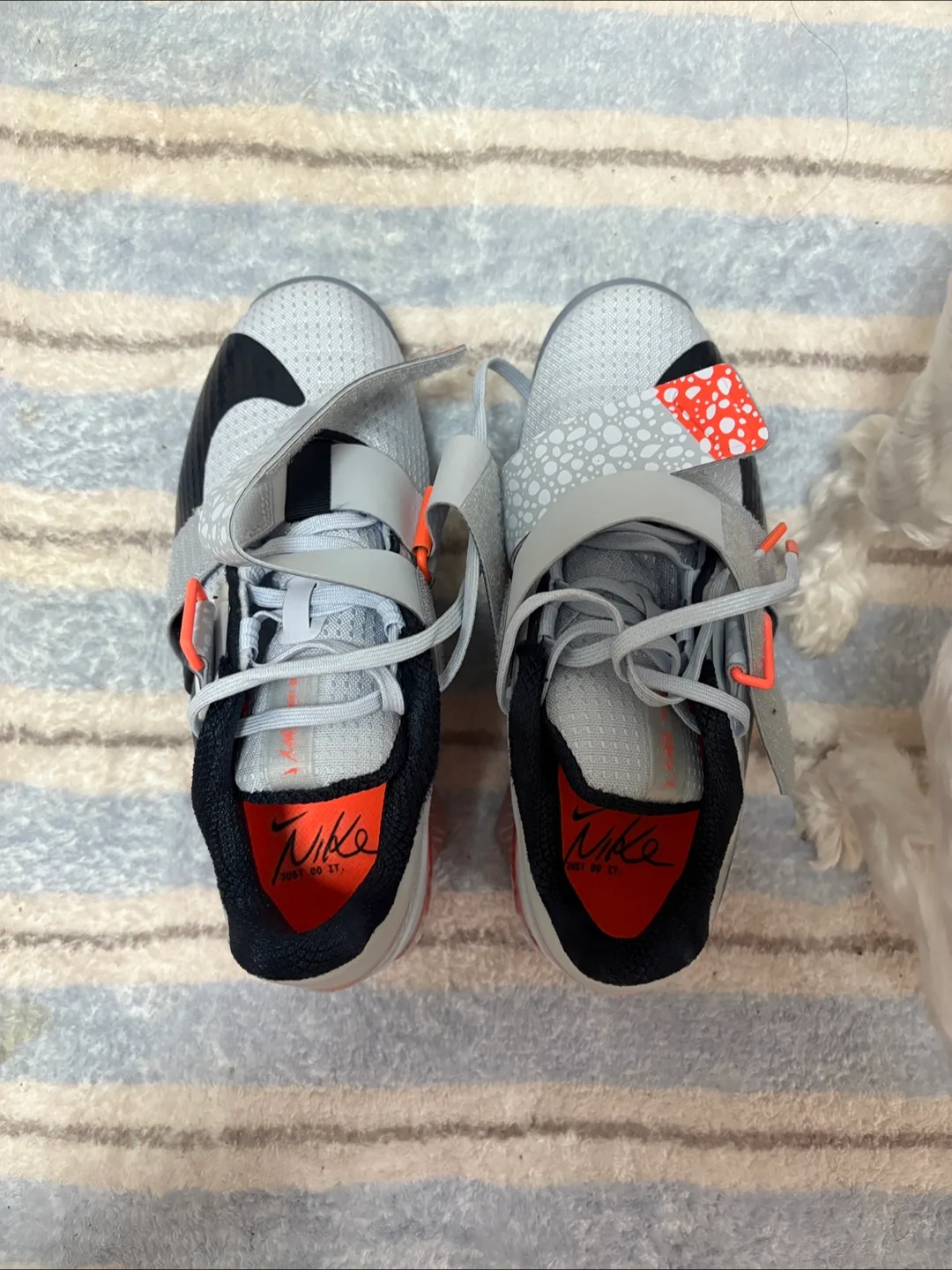 나이키 로말레오4 역도화 판매합니다