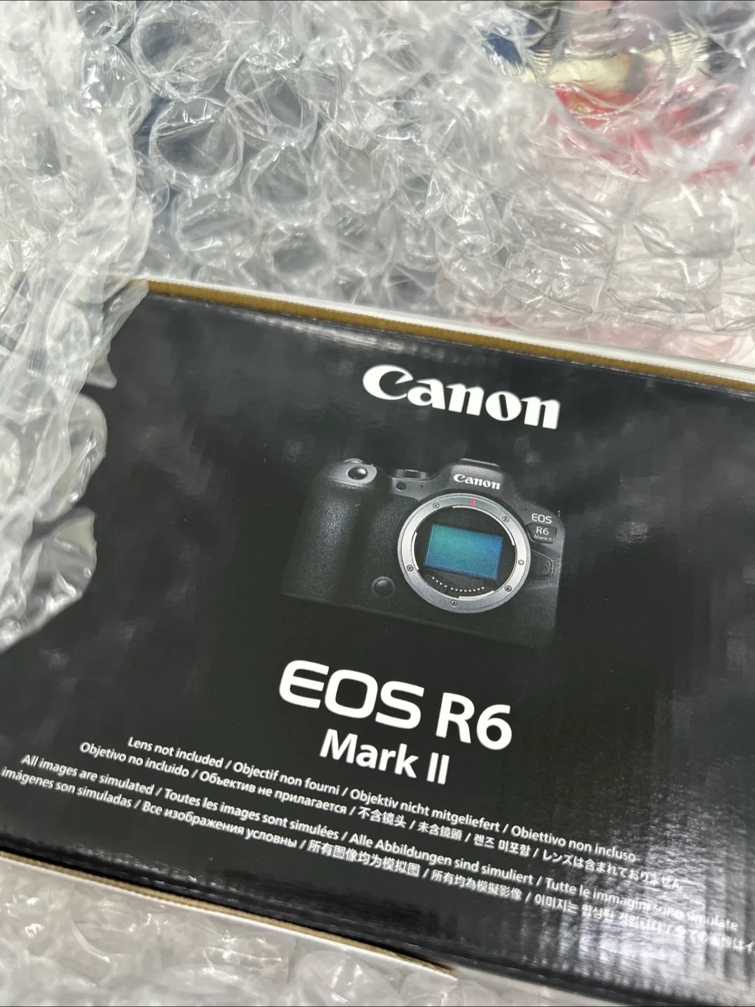 캐논 EOS R6 MARK II 중고 풀박 판매