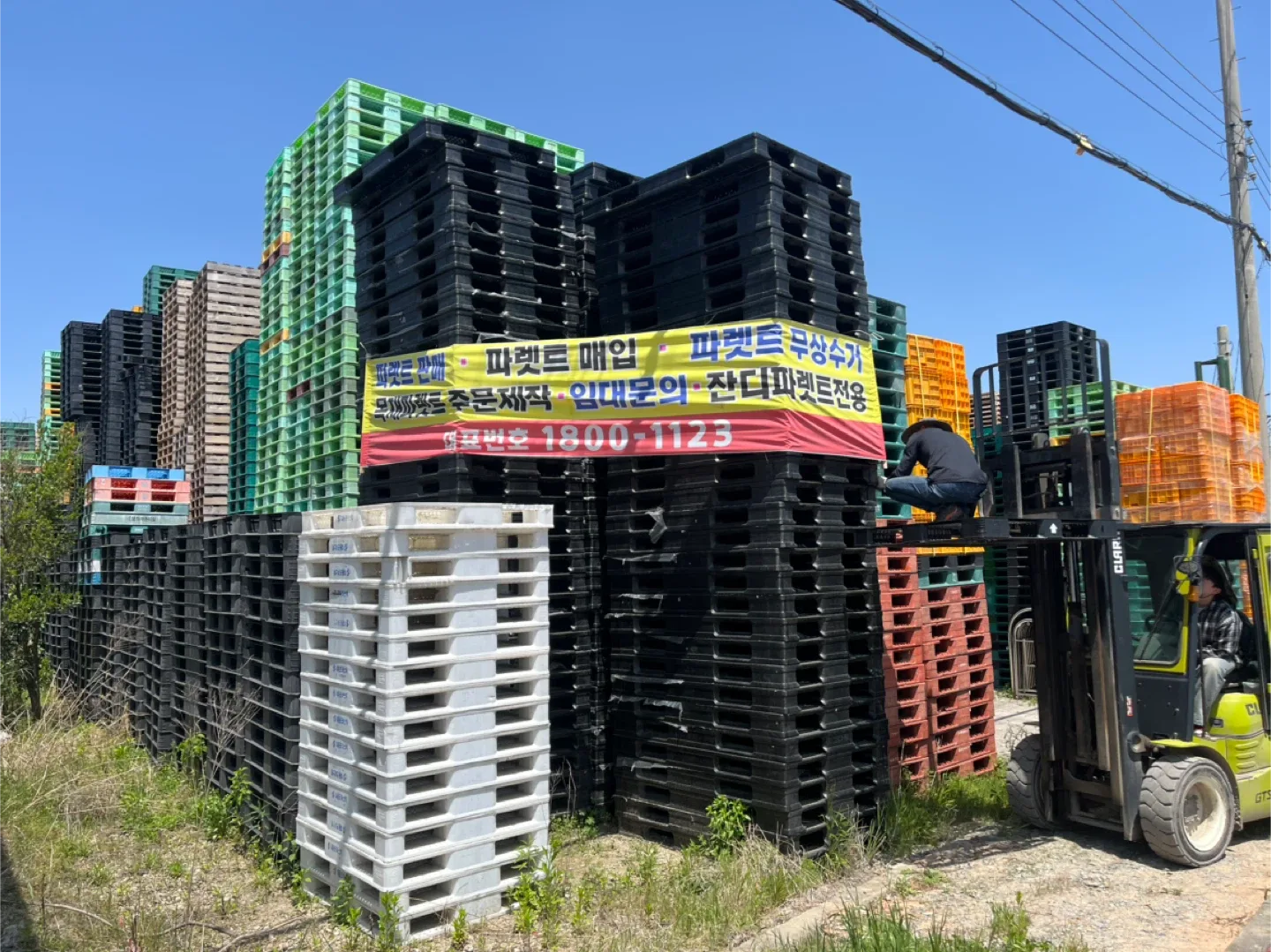 플라스틱/목재 중고 파렛트 판매합니다