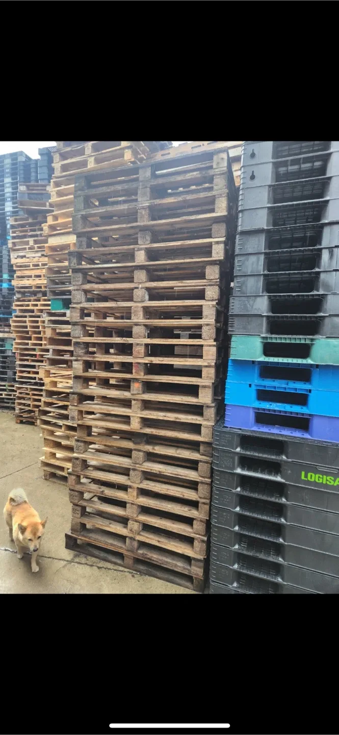 목재 중고 파렛트 1200/800 판매합니다
