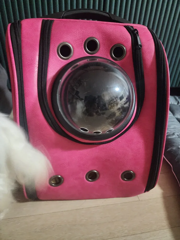 핑크 버블 Pet 캐리어
