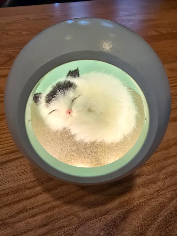 무아스 고양이 무드등