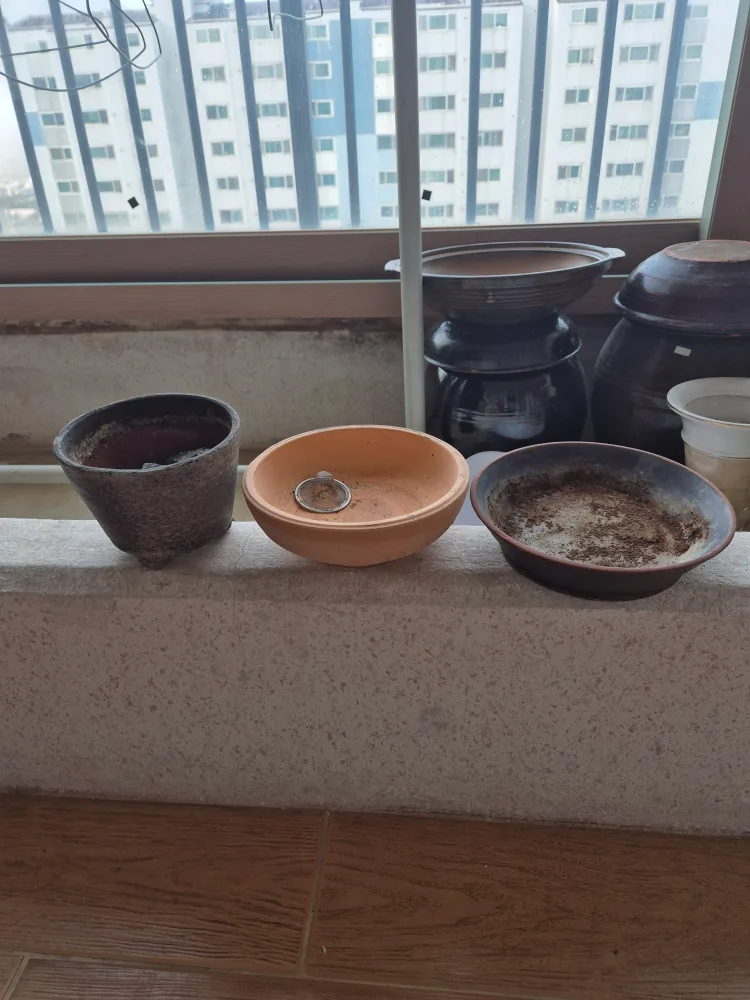 중고 화분 모음