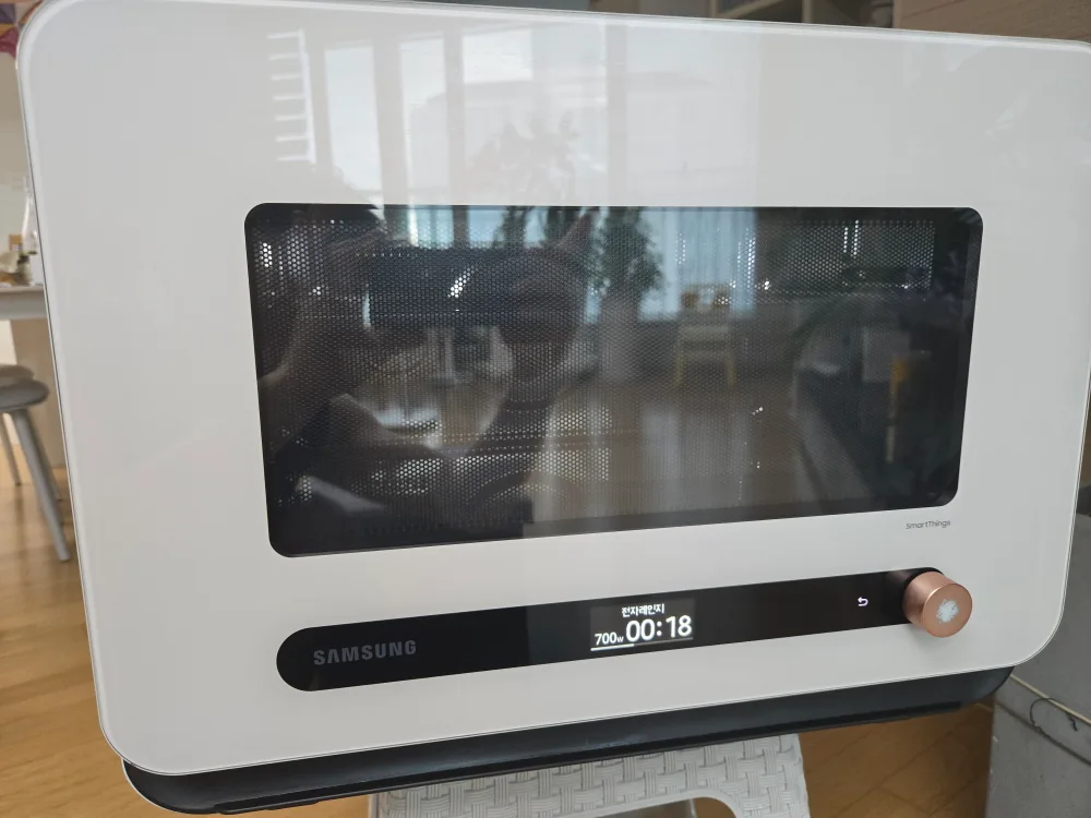 삼성 큐브 전자레인지