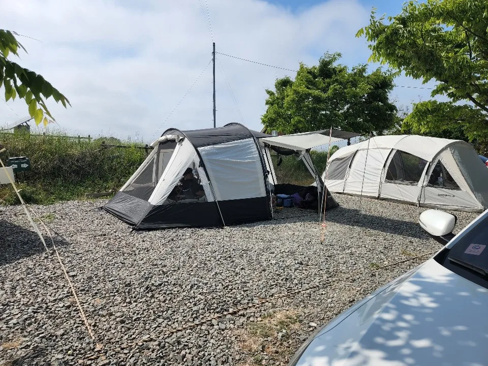 스노우라인 새턴패밀리 텐트