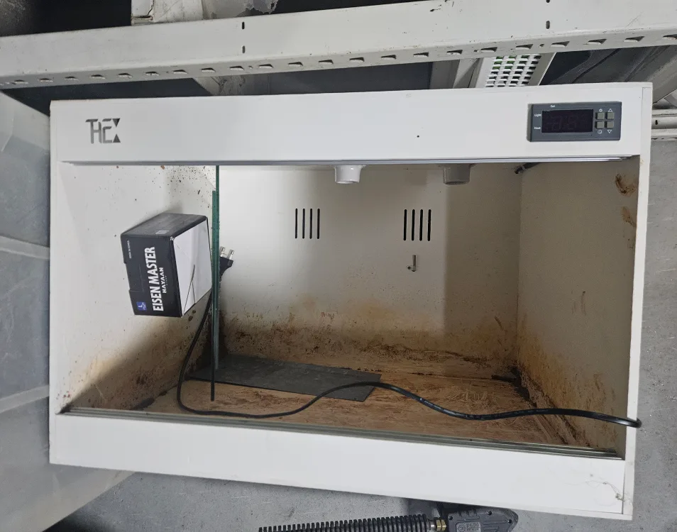 파충류 2자 중고 포멕스장 판매합니다